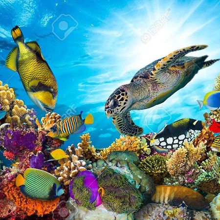 L'Ocean Bleu Des Anses Διαμέρισμα Fond Fleury Εξωτερικό φωτογραφία